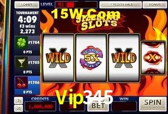 Login Seguro Vip345